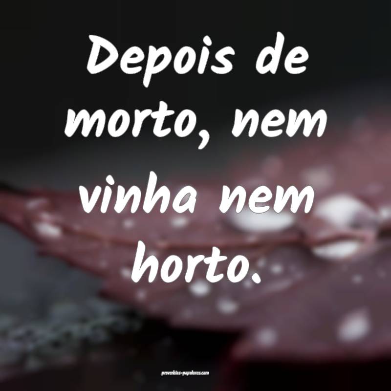 Depois de morto, nem vinha nem horto.
...