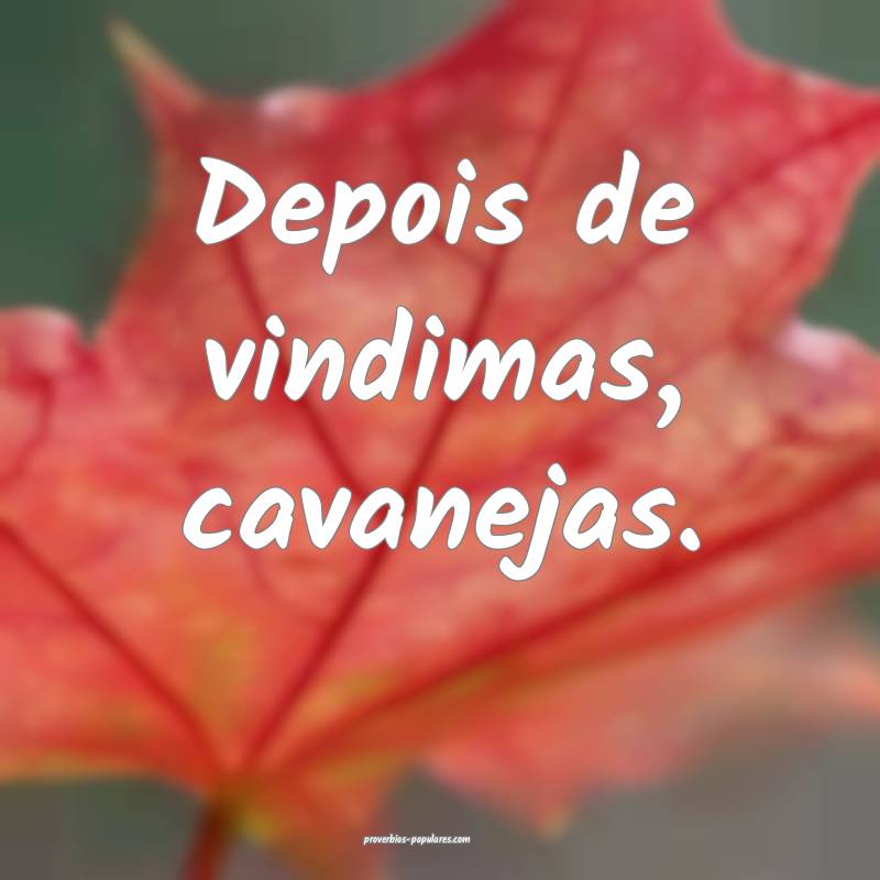 Depois de vindimas, cavanejas.
 ...