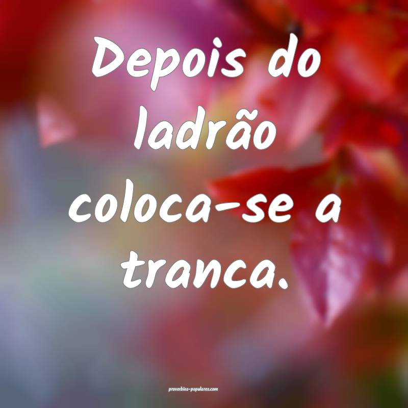Depois do ladrão coloca-se a tranca.
...