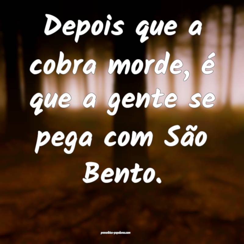 Depois que a cobra morde, é que a gente se pega com São Bento.
...