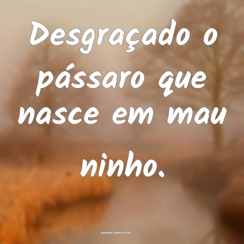 Desgraçado o pássaro que nasce em mau ninho.
...