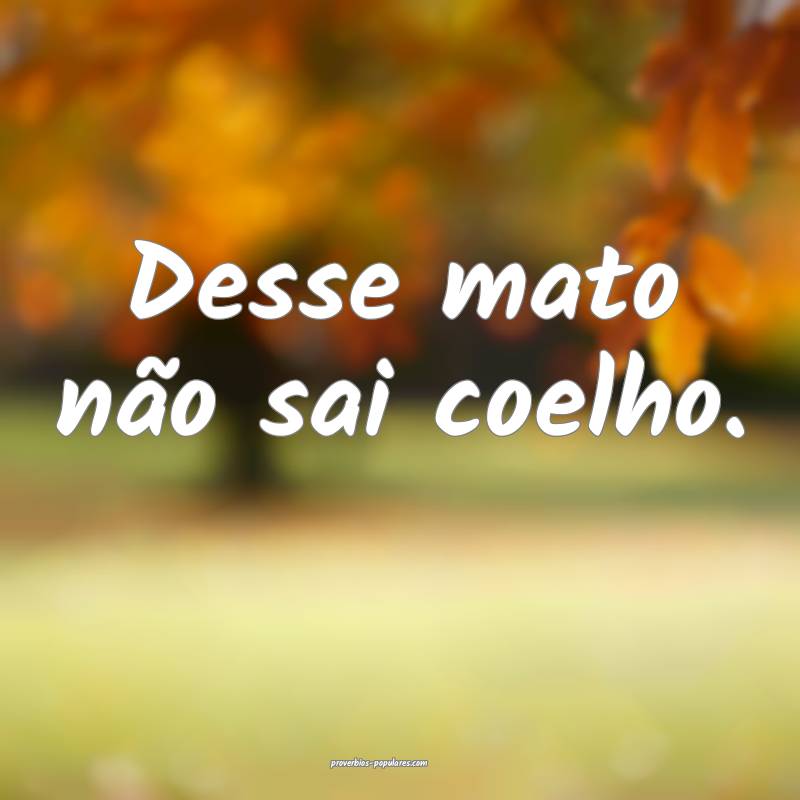 Desse mato não sai coelho.
...