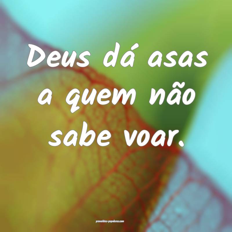 Deus dá asas a quem não sabe voar.
 ...