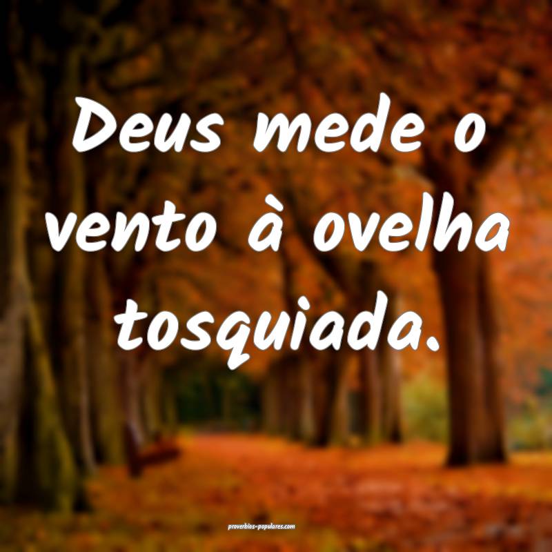 Deus mede o vento à ovelha tosquiada.
 ...