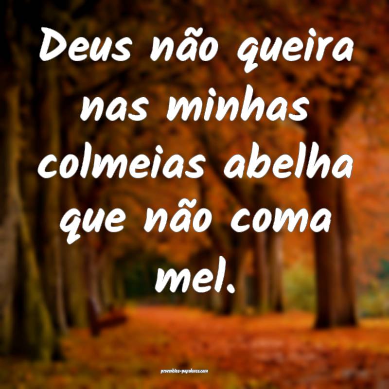 Deus não queira nas minhas colmeias abelha que n ...