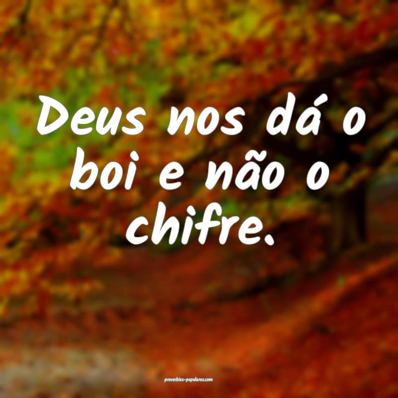 Deus nos dá o boi e não o chifre.
...