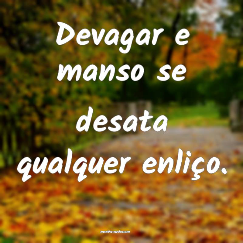 Devagar e manso se desata qualquer enliço.
...