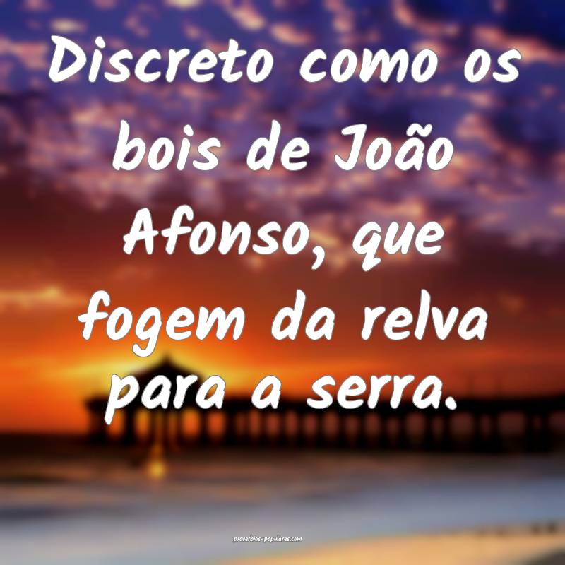 Discreto como os bois de João Afonso, que fogem da relva para a serra...