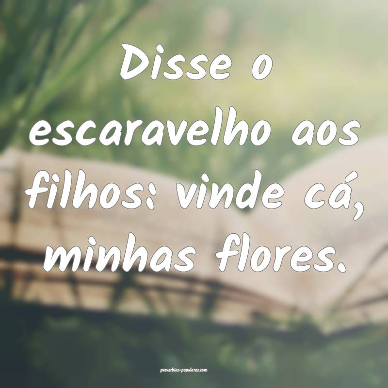 Disse o escaravelho aos filhos: vinde cá, minhas flores.
...