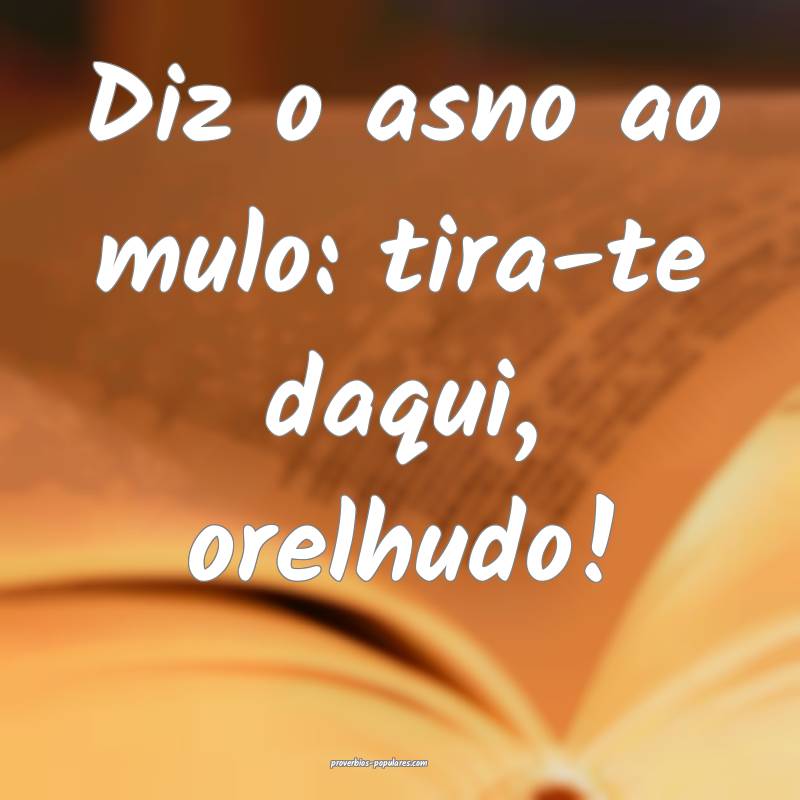 Diz o asno ao mulo: tira-te daqui, orelhudo!
...