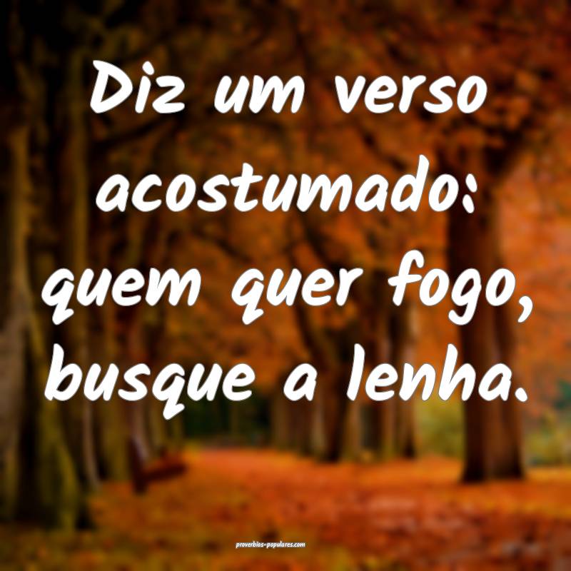 Diz um verso acostumado: quem quer fogo, busque a  ...