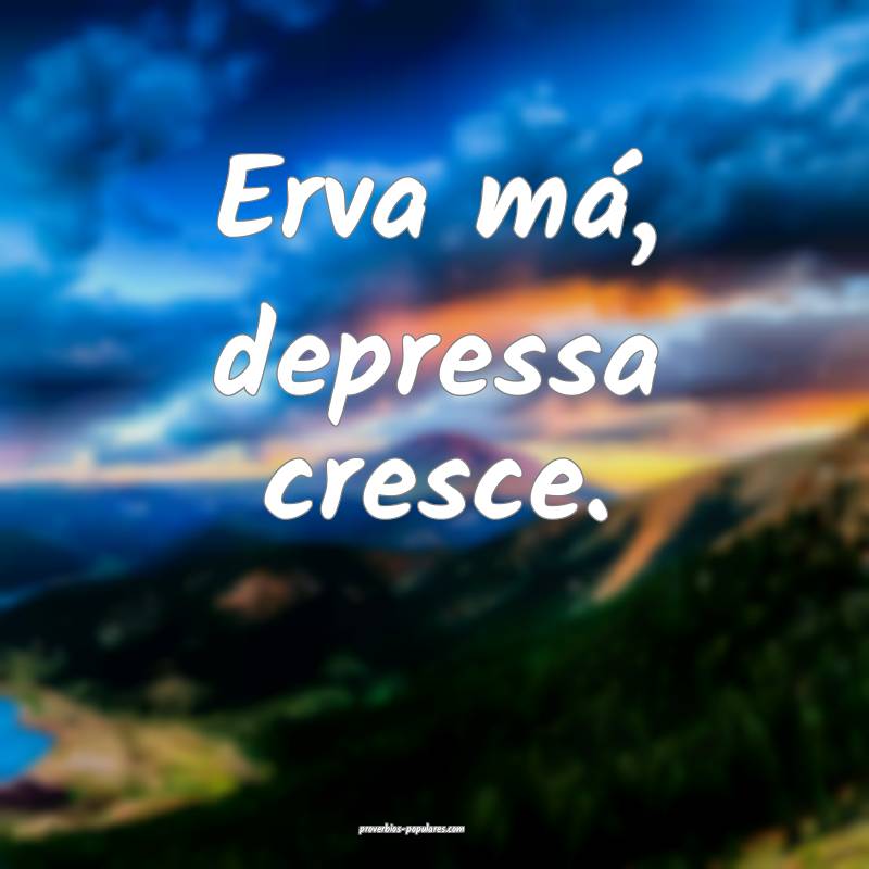 Erva má, depressa cresce. 
...