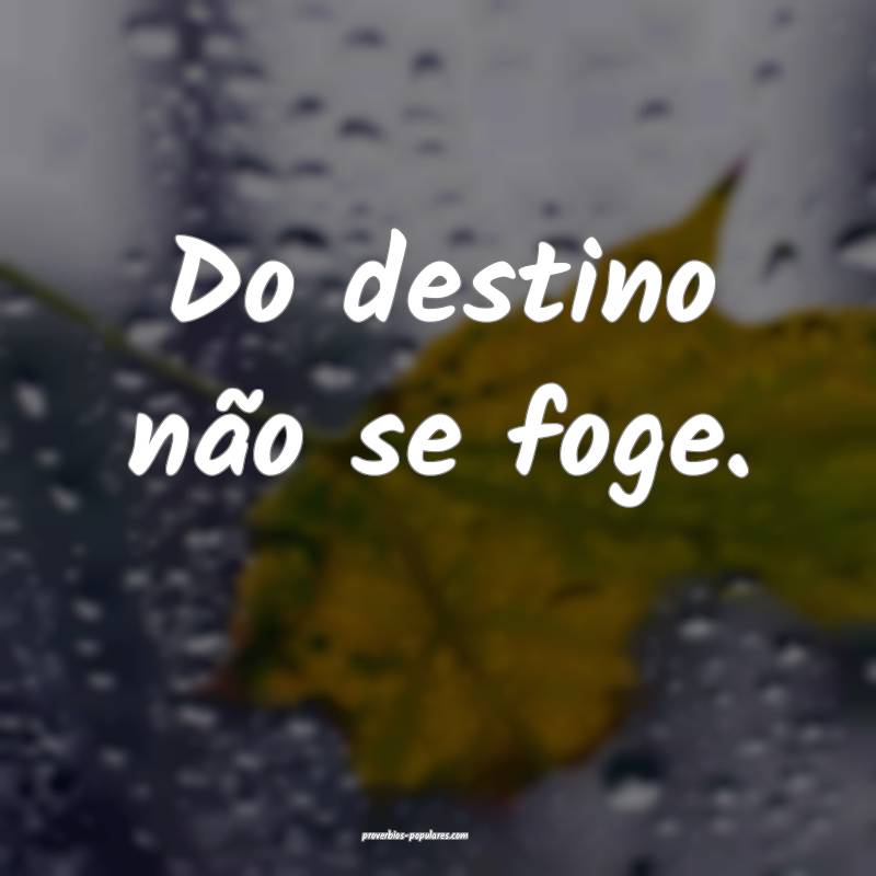 Do destino não se foge.
...