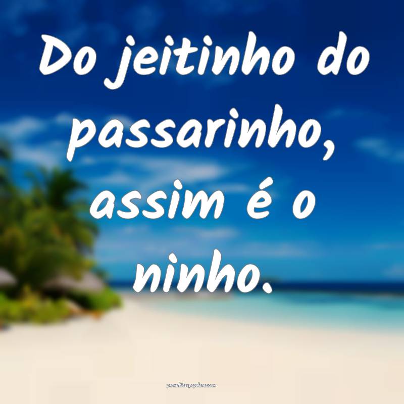Do jeitinho do passarinho, assim é o ninho.
 ...