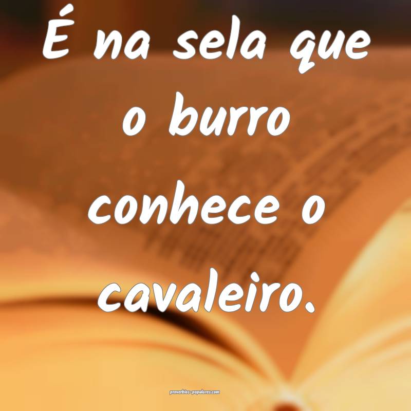 É na sela que o burro conhece o cavaleiro. 
 ...