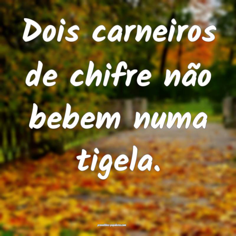 Dois carneiros de chifre não bebem numa tigela.
...