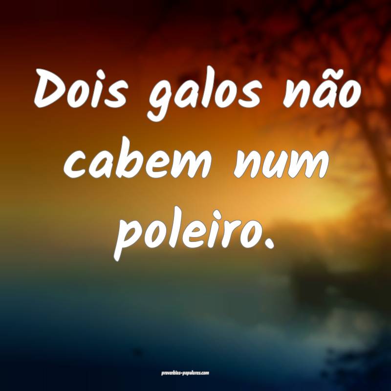 Dois galos não cabem num poleiro.
...