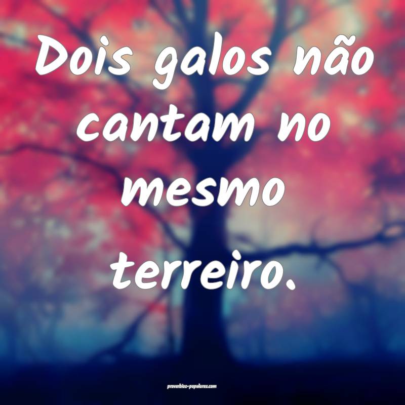 Dois galos não cantam no mesmo terreiro.
...