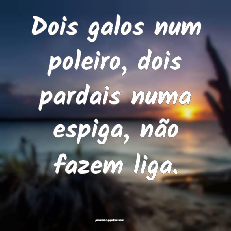 Dois galos num poleiro, dois pardais numa espiga, não fazem liga.
...