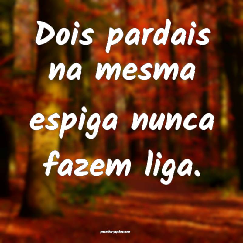 Dois pardais na mesma espiga nunca fazem liga.
...