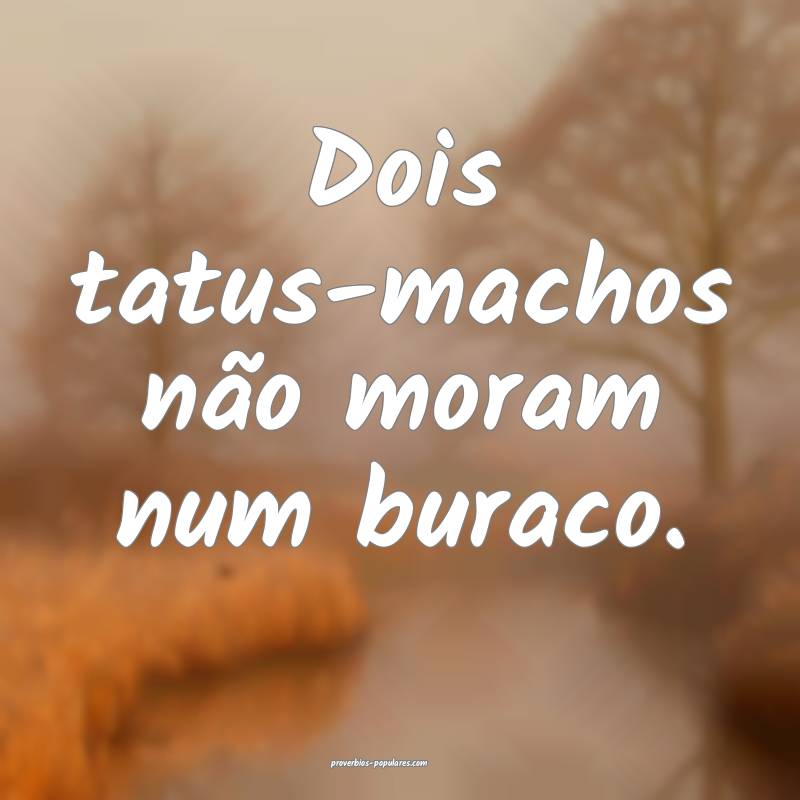 Dois tatus-machos não moram num buraco.
 ...