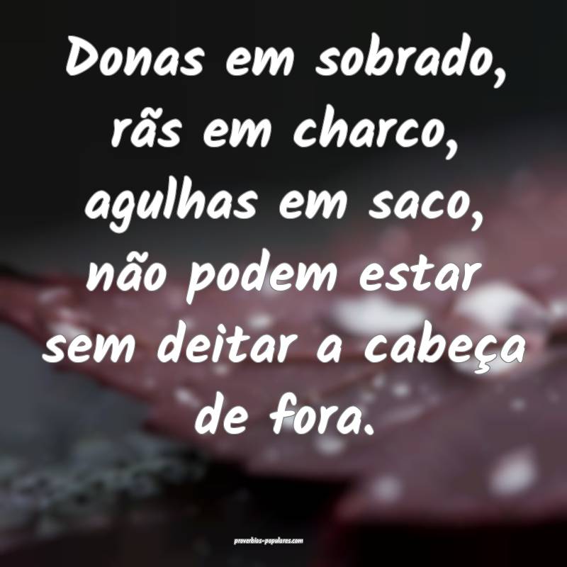 Donas em sobrado, rãs em charco, agulhas em saco, não podem estar se...