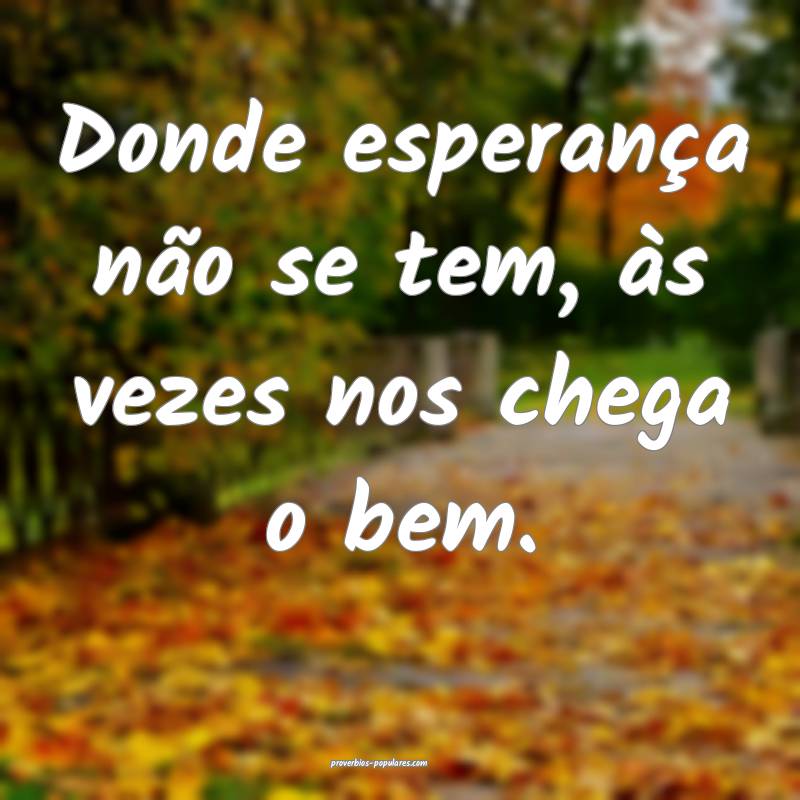 Donde esperança não se tem, às vezes nos chega o bem.
...