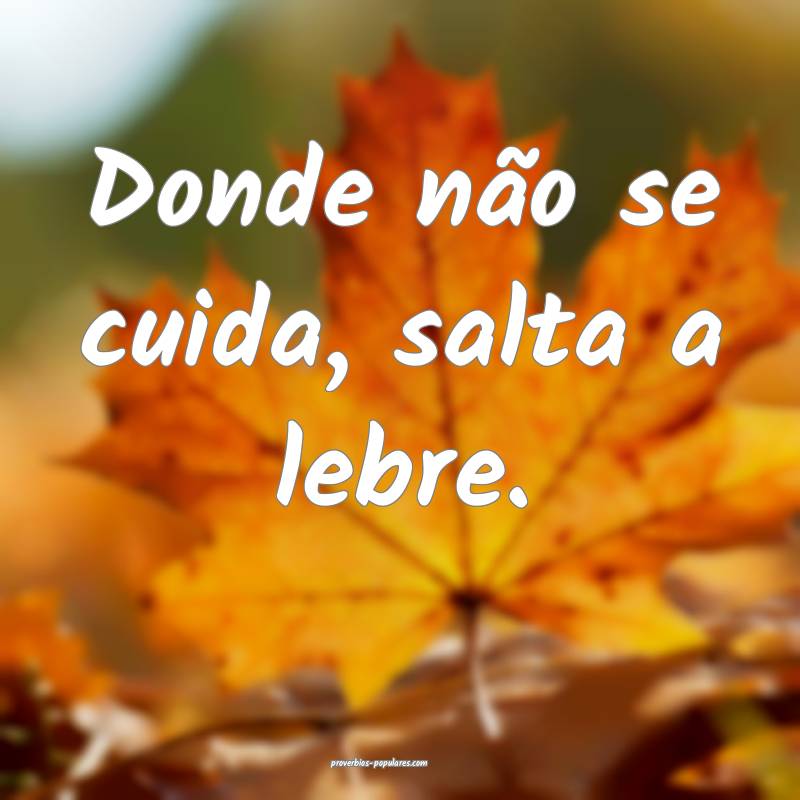 Donde não se cuida, salta a lebre.
...