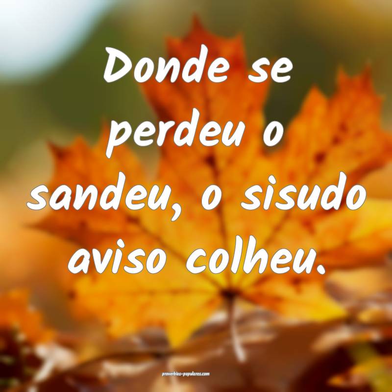Donde se perdeu o sandeu, o sisudo aviso colheu.
 ...