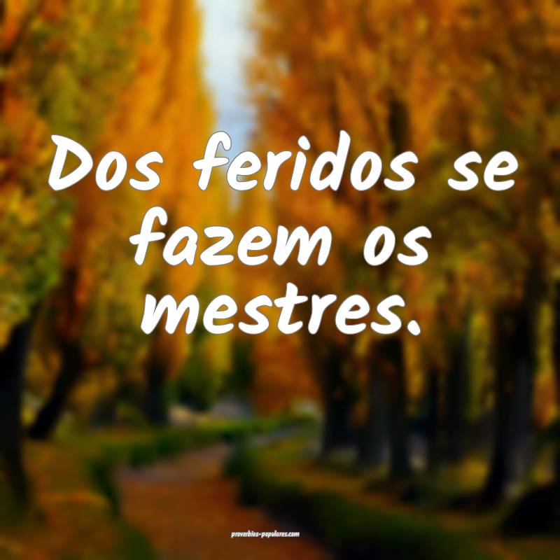 Dos feridos se fazem os mestres.
...