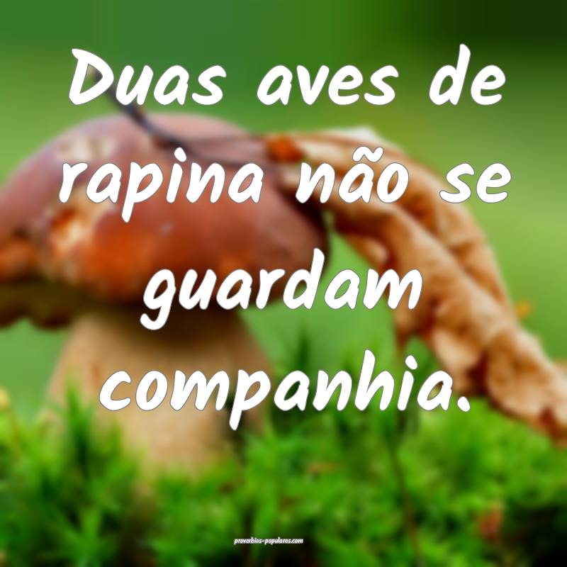 Duas aves de rapina não se guardam companhia.
...