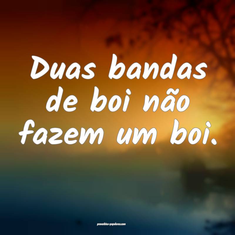 Duas bandas de boi não fazem um boi.
 ...