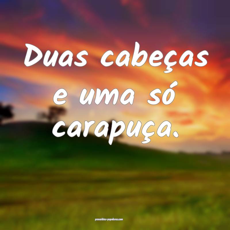 Duas cabeças e uma só carapuça.
 ...