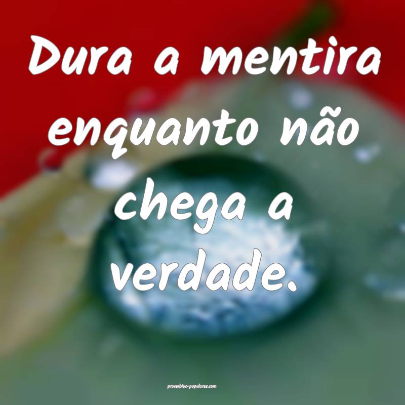 Dura a mentira enquanto não chega a verdade.
...