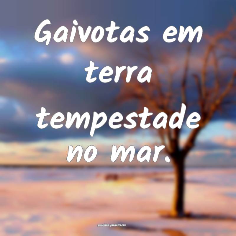 Gaivotas em terra tempestade no mar. 
 ...