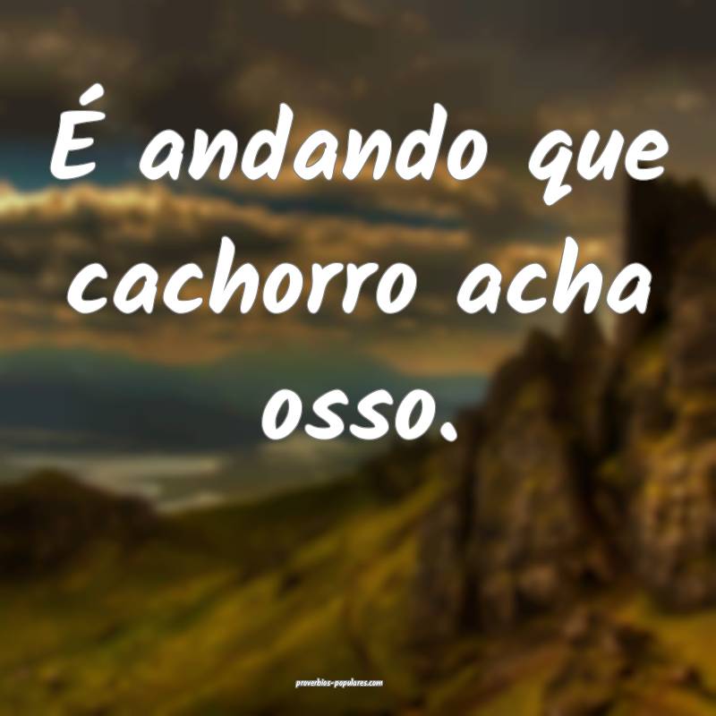 É andando que cachorro acha osso.
...