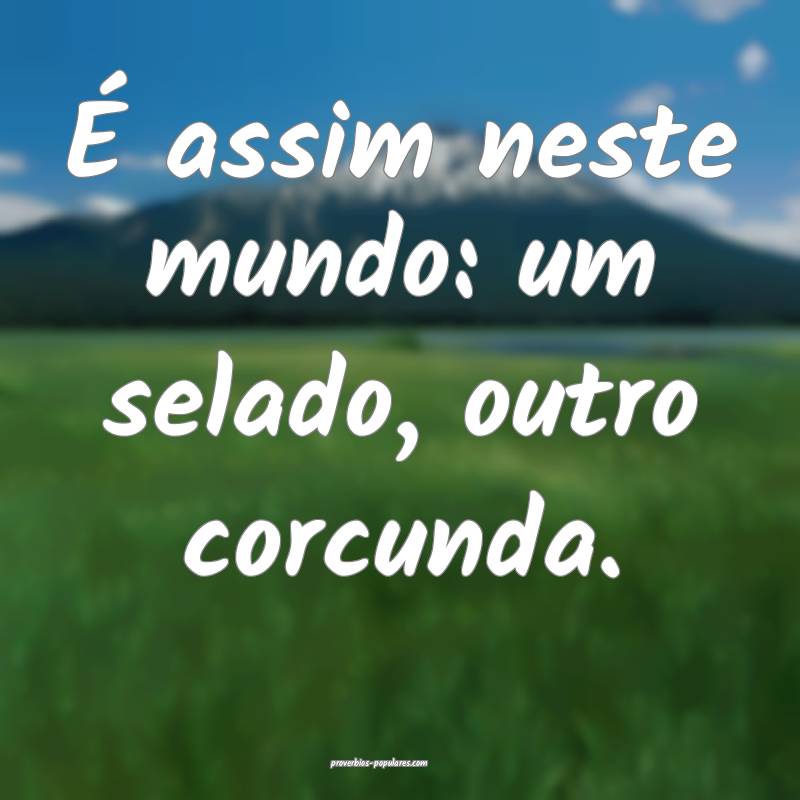 É assim neste mundo: um selado, outro corcunda.
...