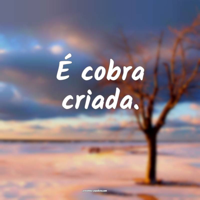 É cobra criada.
...