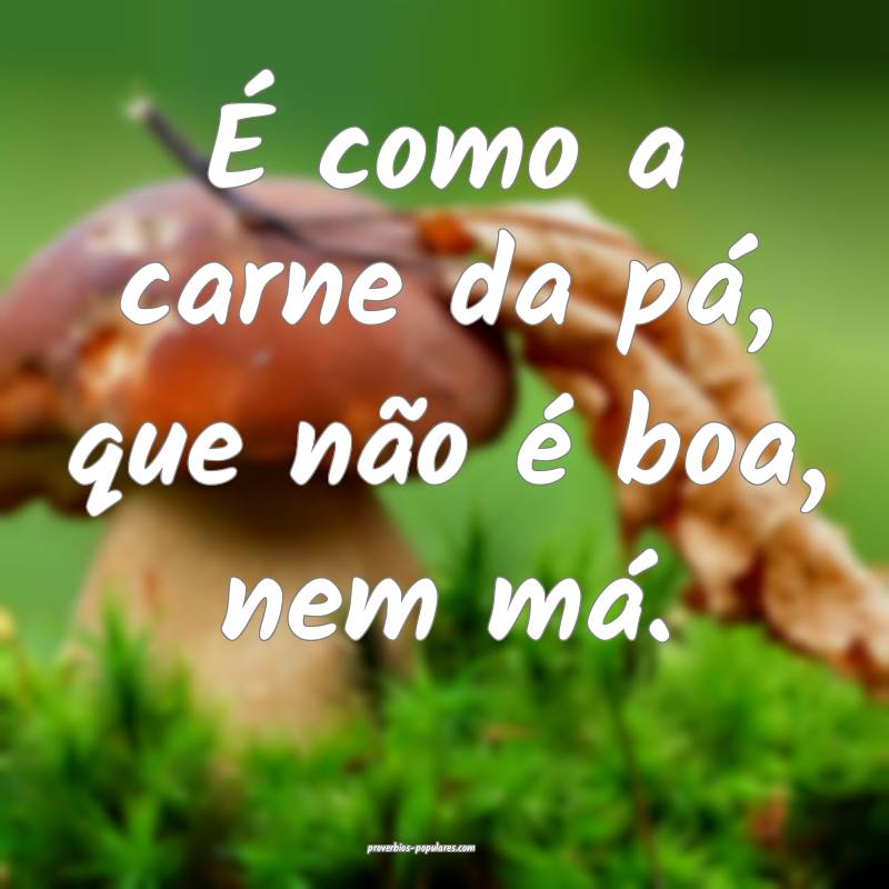 É como a carne da pá, que não é boa, nem má.
 ...