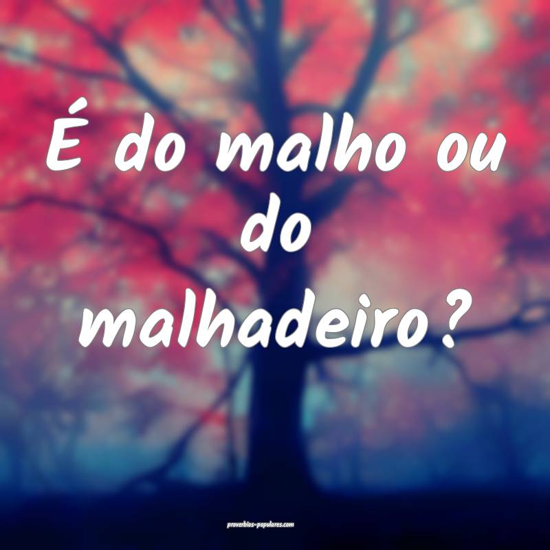 É do malho ou do malhadeiro?
...