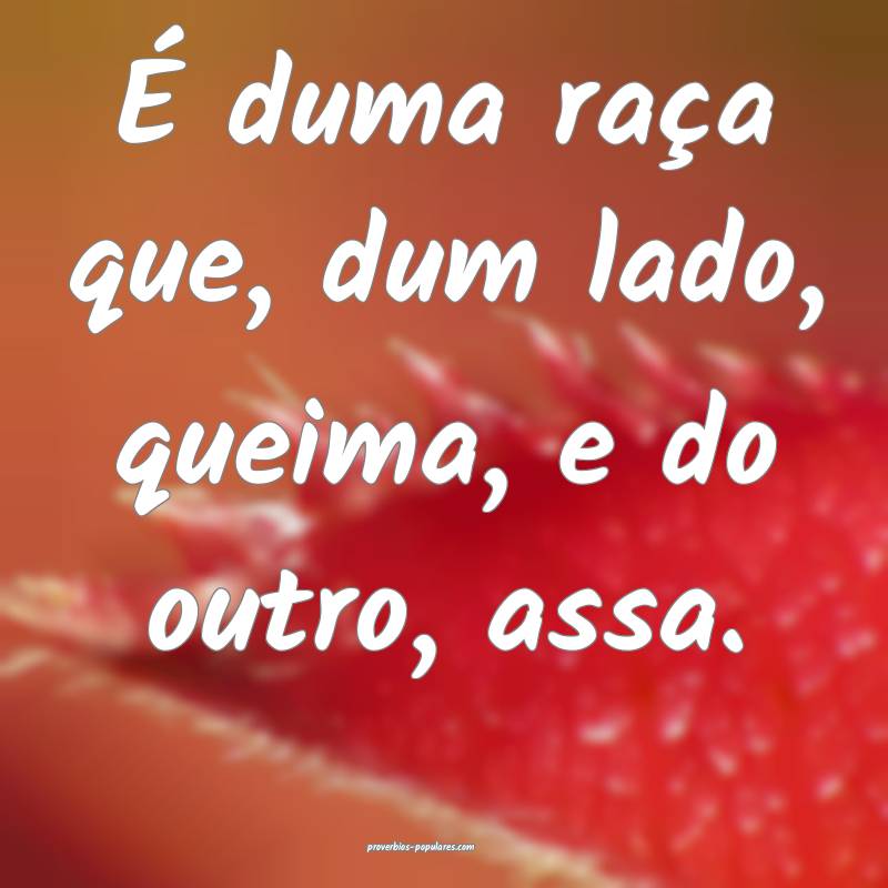 É duma raça que, dum lado, queima, e do outro, assa.
...