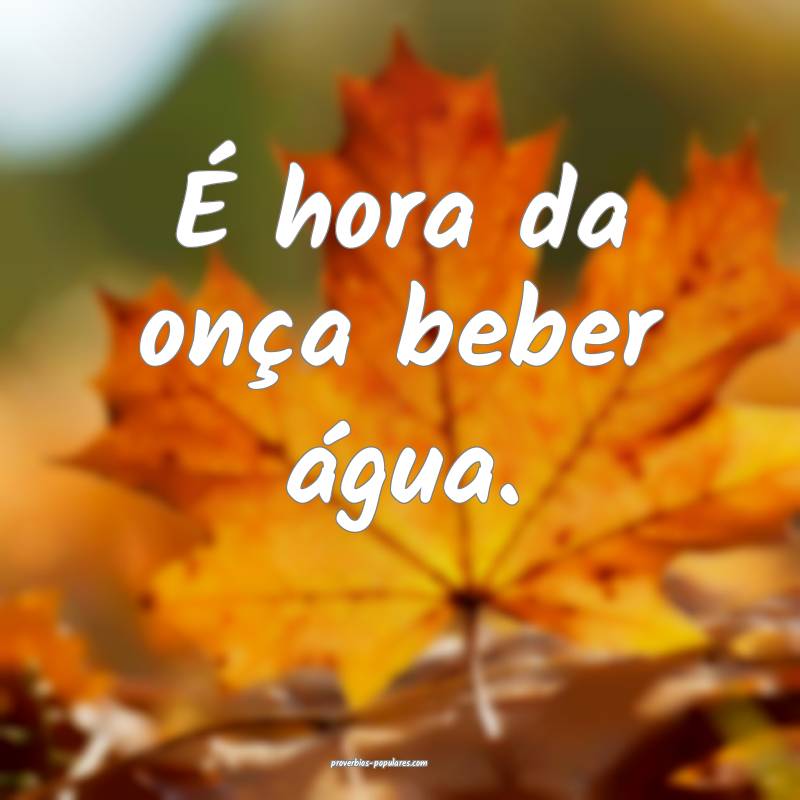 É hora da onça beber água.
...