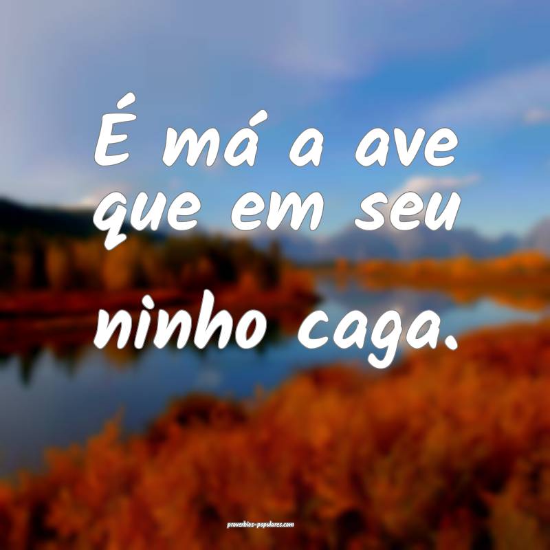 É má a ave que em seu ninho caga.
...