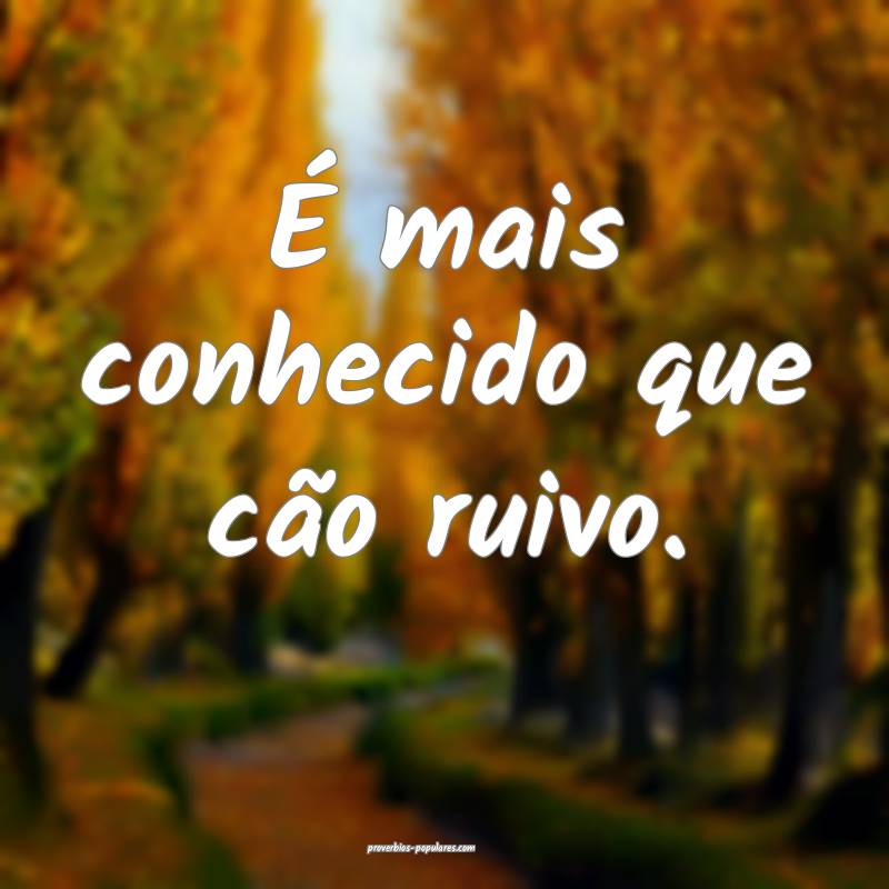 É mais conhecido que cão ruivo.
...