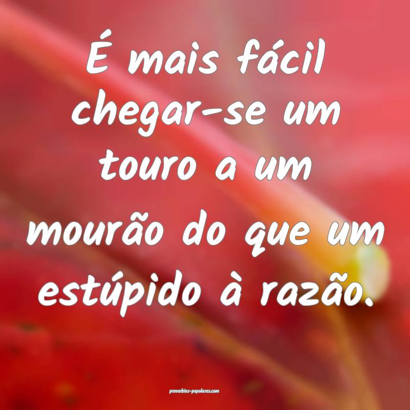 É mais fácil chegar-se um touro a um mourão do que um estúpido à ...