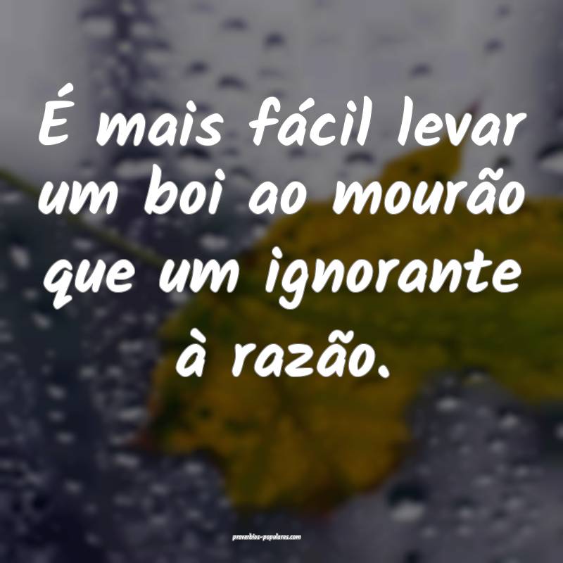 É mais fácil levar um boi ao mourão que um ignorante à razão.
...