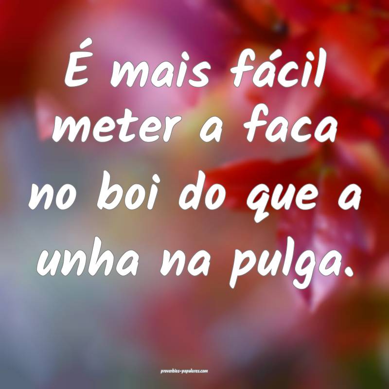 É mais fácil meter a faca no boi do que a unha n ...