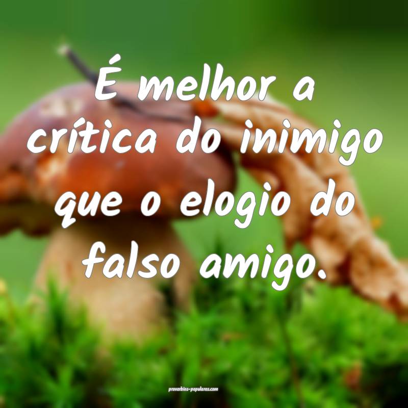 É melhor a crítica do inimigo que o elogio do falso amigo.
...