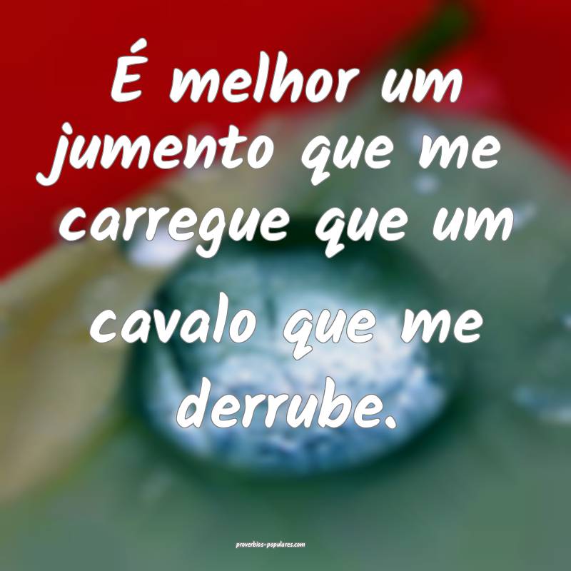 É melhor um jumento que me carregue que um cavalo que me derrube.
...