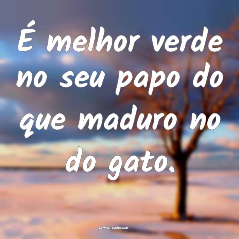 É melhor verde no seu papo do que maduro no do gato.
...